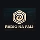 Radio Na Fali logo