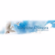 Radio Caroline Oliveira Logo