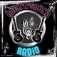 RocK-N-SounD Radio Logo