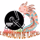 Radio Rinconcito de Tequexquitla Logo