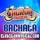 Vacilon Musical Radio Logo