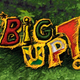 BigUpReggaeRadio Logo