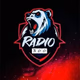 Radio 300 Logo