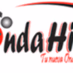 Radio Onda Hit 105.9 Logo