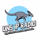 Upper North Shore iP Radio Logo