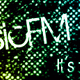 Radio Palomino Logo