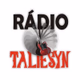 Radio Taliesyn Logo
