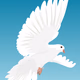 victory4christ radio Logo