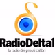 Radio Delta 1 Logo