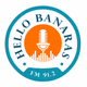 Hello Banaras 91.2 FM Logo