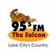 The Falcon - WDSR Logo