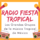 Radio Ixtapa - Radio Fiesta Tropical Logo
