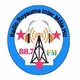 Radio Royaume Inter Mole HTI 88.7 Fm Logo