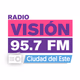 Radio Visión Logo