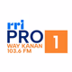 RRI - Pro 1 Way kanan Logo
