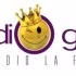 Radio Gold Marche - 103.5 FM Logo