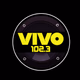 Radio VIVO Logo