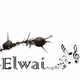 Elwai Visitor Centre Radio Logo