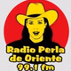 Radio Perla de Oriente Logo