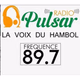 Radio Pulsar Katiola Logo