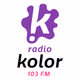 Radio Kolor 103 FM Logo
