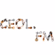 Ceol FM - Live Logo