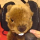 Radio Marmotte Logo