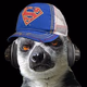 Lemur Radio Logo