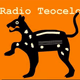Radio Teocelo - XEYTM Logo