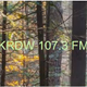 KRDW 107.3 FM - KRDW-LP Logo