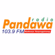 Radio Pandawa FM Logo