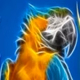 Rádio Pantaneira Logo