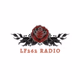 LF262 RADIO Logo