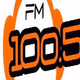 Radio Ricardone 100.5 Logo