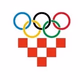 Hrvatski Navijacki Radio Logo
