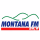 Montana FM 89,9 Logo