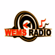 WEMS Radio Logo
