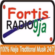 Fortis Radio - Naija's Youthful Music Logo
