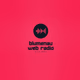Blumenau Web Rádio Logo