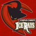 SportsJuice - Corpus Christi IceRays Logo