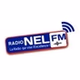 Radio Nel FM logo