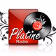 Platine Radio Logo