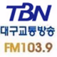 TBN - 대구FM 103.9 Logo
