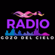 Radio Gozo Del Cielo Logo
