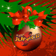 Radio Junior - Noel Logo