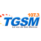 Radio Nacional TGSM Logo