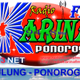 Radio Karina FM Logo
