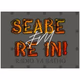 SeabeReInFM Logo
