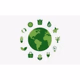 Cuidado Ambiental Logo