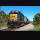 Plant City, FL CSX Railroad Logo